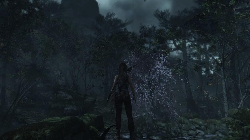 Tomb Raider Definitive Edition 2 