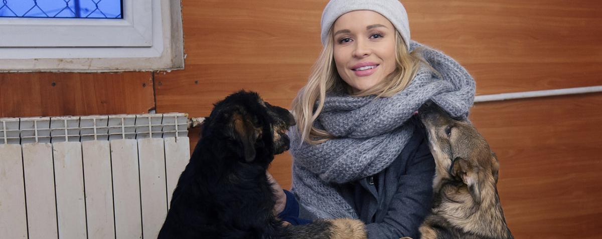 Misja pies: Joanna Krupa kocha psy, ale czy nadaje się do ich ratowania?