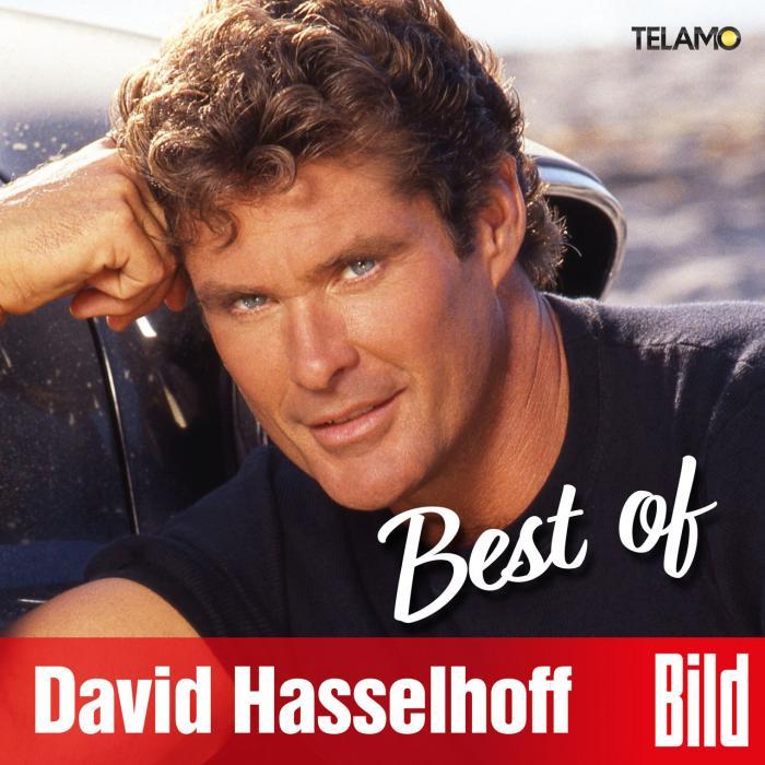 David Hasselhoff bild best of class="wp-image-324054" 