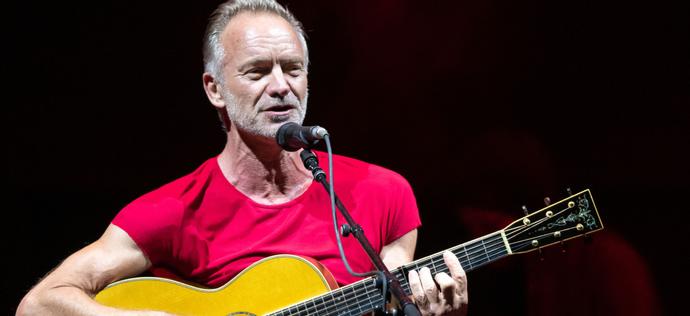 Sting koncerty w Polsce Shutterstock Stedalle