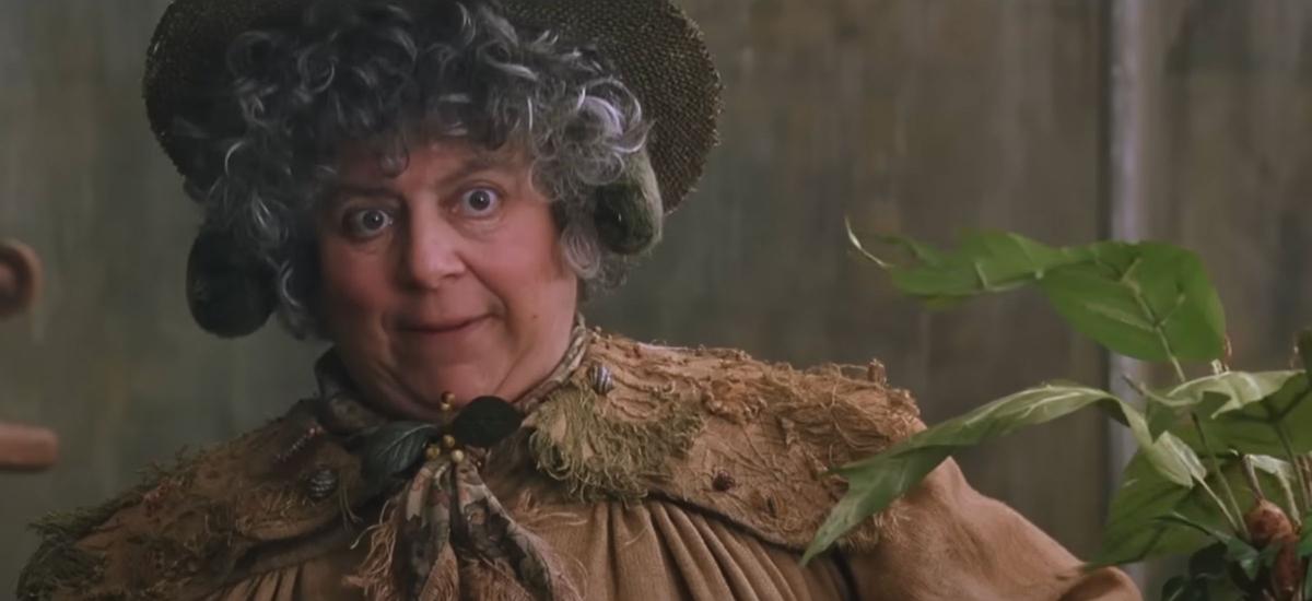 profesor sprout martwi sie o doroslych fanow harry potter