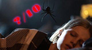 gniazdo pająka recenzja horror